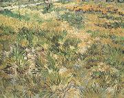 Vincent Van Gogh Meadow in the Garden of Saint-Paul Hospital (nn04) china oil painting artist